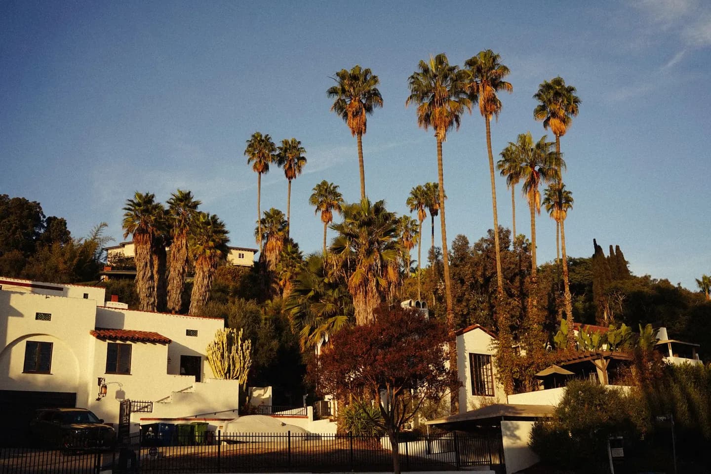 Spanish-style houses and tall palms at sunset in Southern California