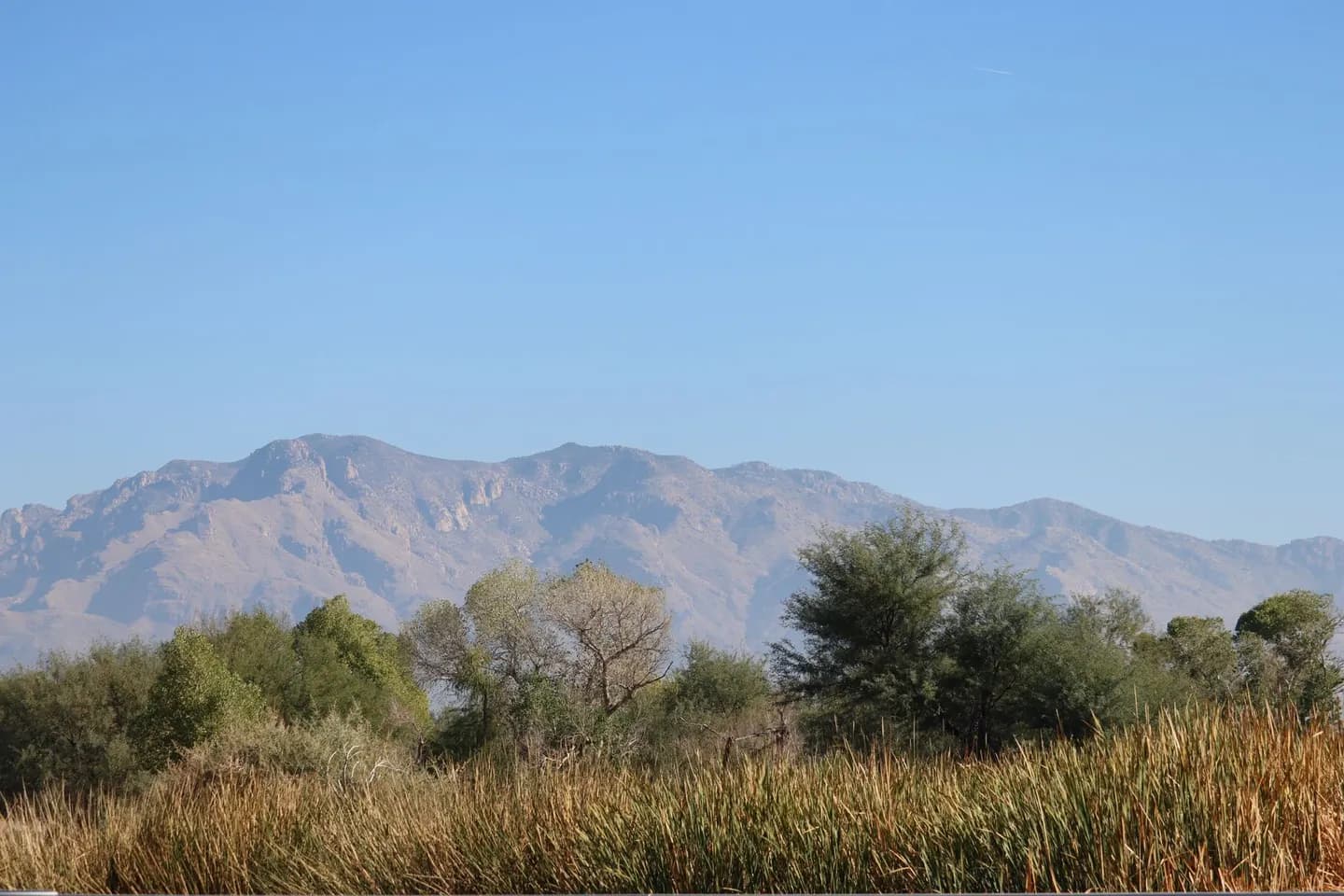 The Santa Catalina Mountains above Tucson, Arizona