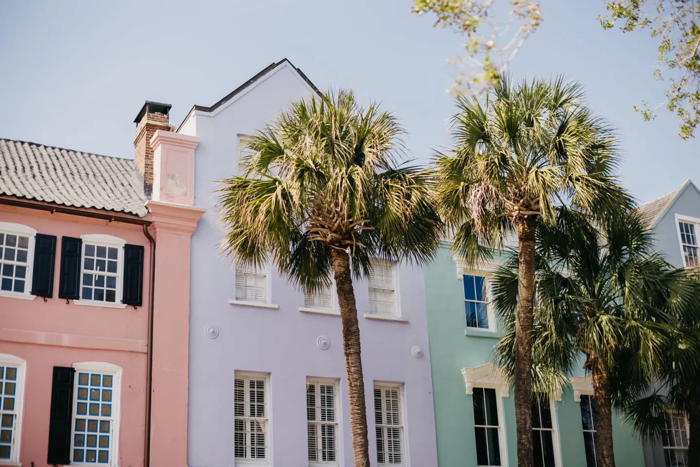 Pastel houses and palm trees on a sunny Charleston street