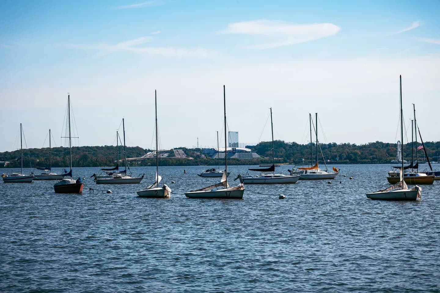 Sailboats moored off Dyke Marsh in Alexandria, Virginia