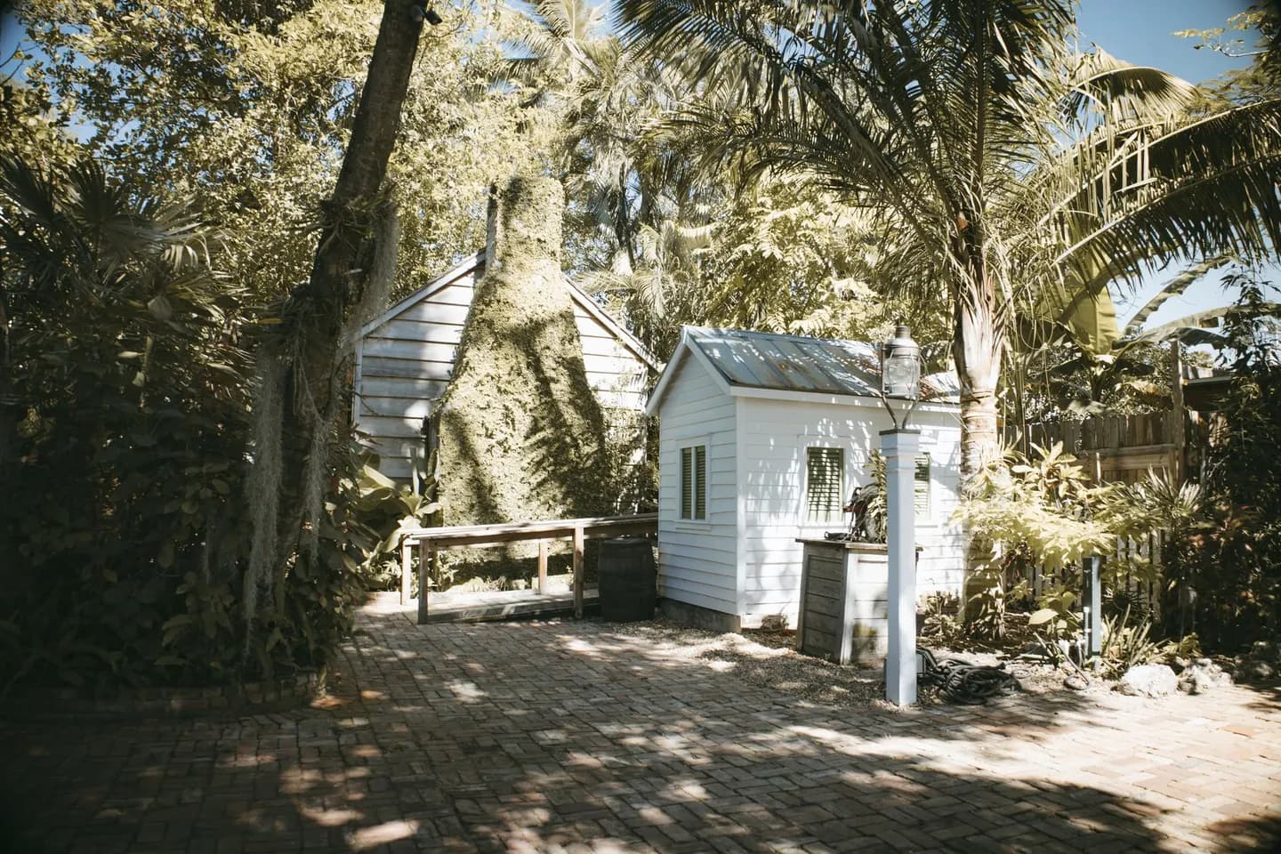 A tropical backyard in Key West, Florida
