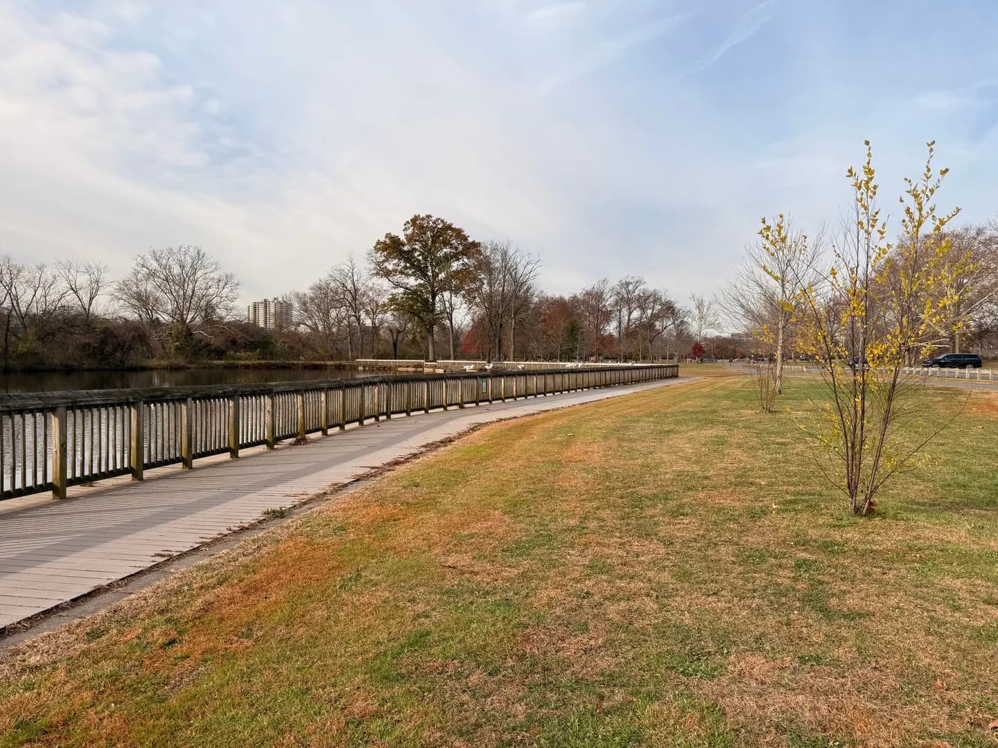 A wooden riverwalk path under autumn trees