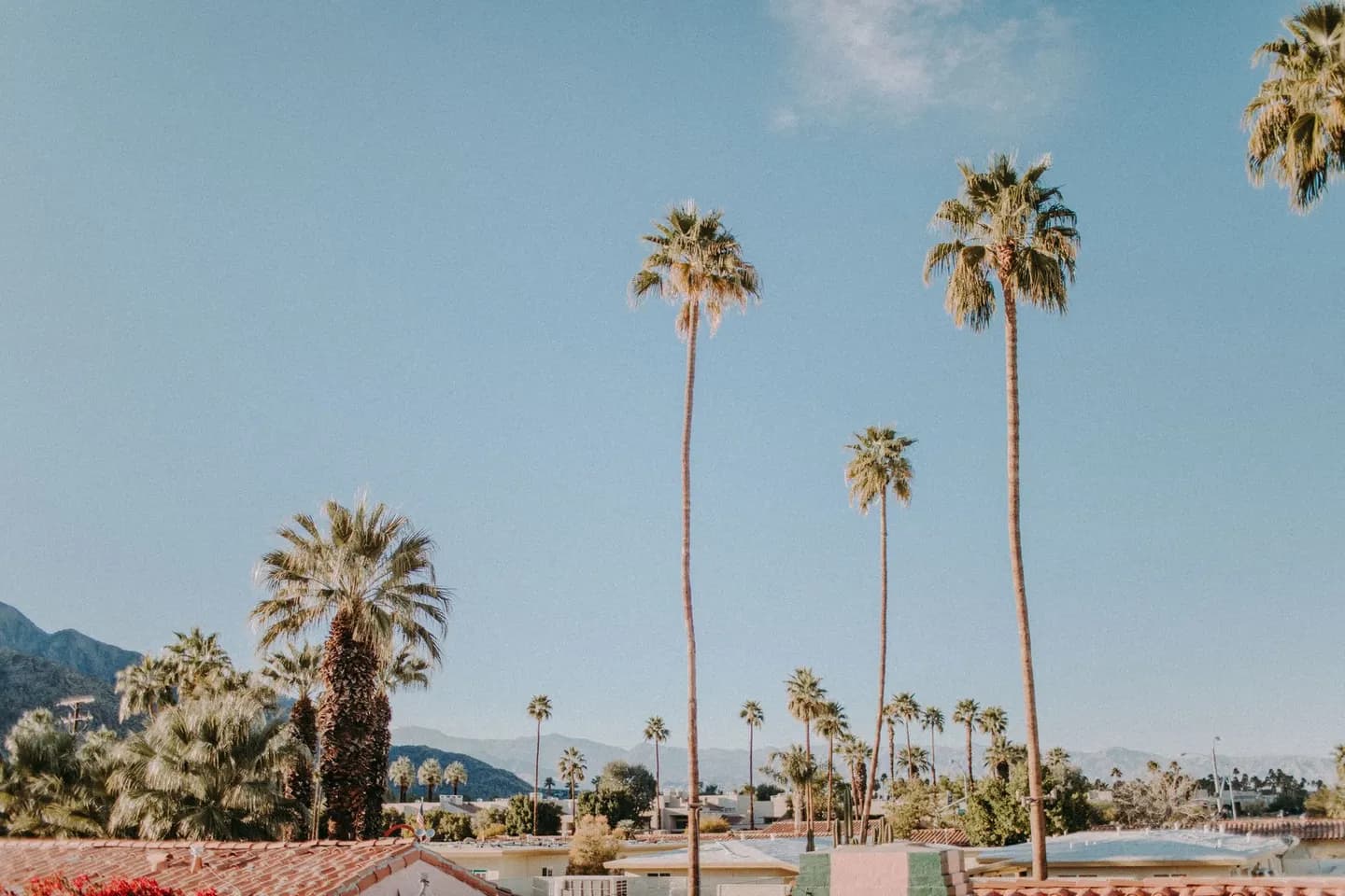 Palm trees and rooftops below the mountains in Palm Springs
