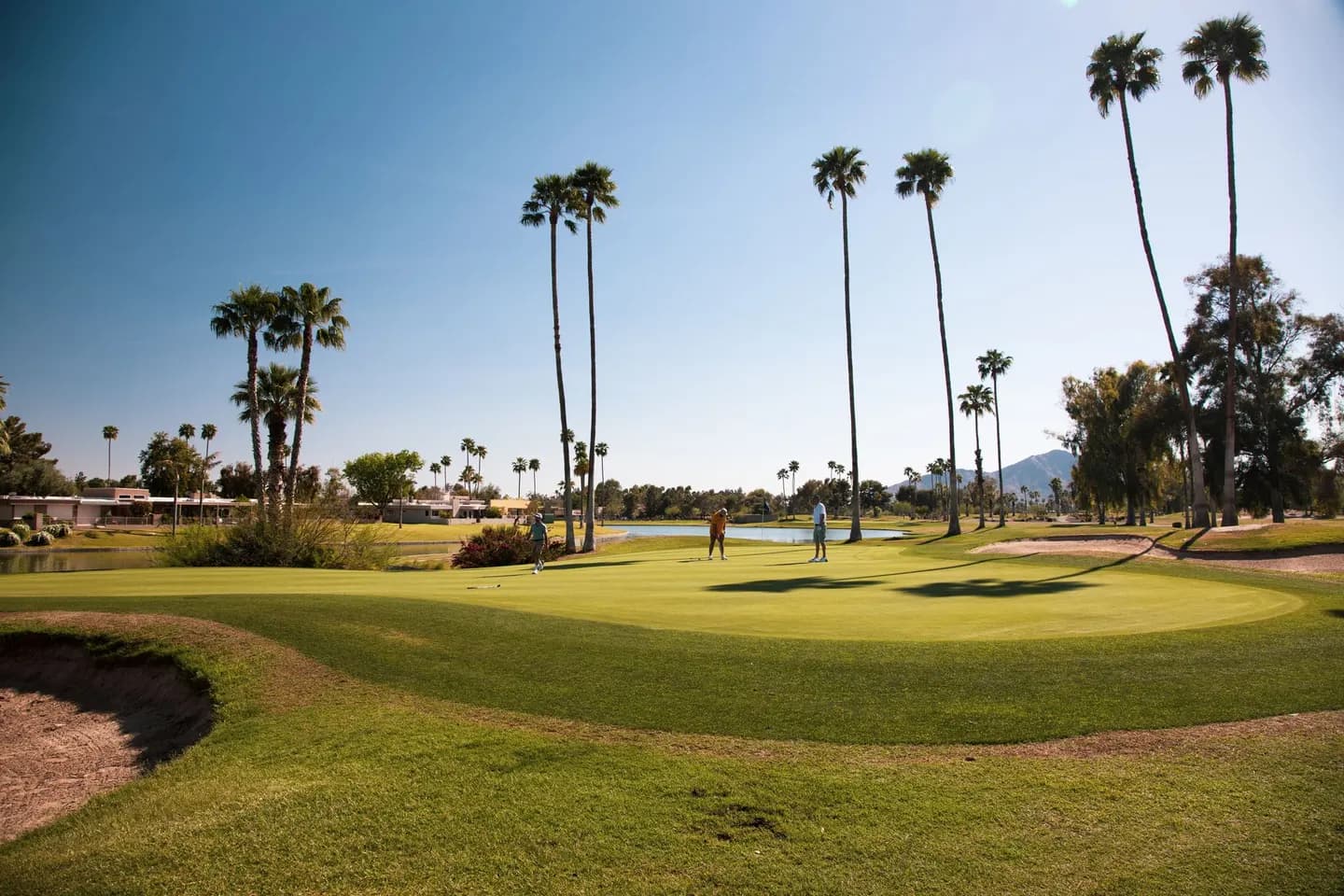 A Scottsdale golf course with palm trees and mountains behind