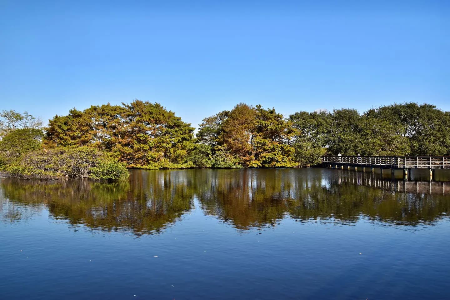 A boardwalk across a lake in Delray Beach, Florida